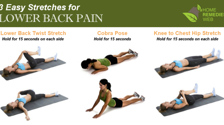 Stretches exercises relieve relief stretching chronic reduce strengthening muscles